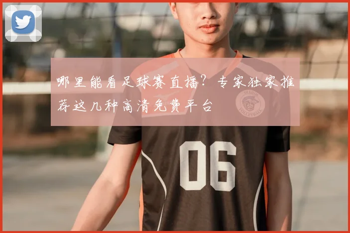 哪里能看足球赛直播？专家独家推荐这几种高清免费平台